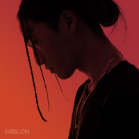 MELOH, GIST - Understand
