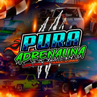 LOS DOS DE TAMAULIPAS - Pura Adrenalina