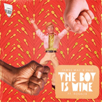 James Mac & Vall, Rosalie - The Boy Is Mine