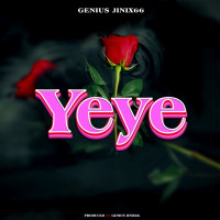 GENIUSJINI X66 - Yeye