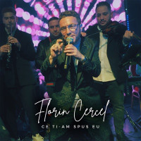 Florin Cercel - Ce Ti-Am Spus Eu