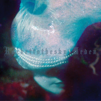Rockettothesky - Grizzly Man