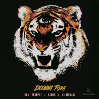 Timmy Trumpet, KSHMR & Mildenhaus - Ininna Tora