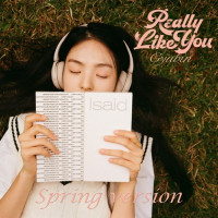 GYUBIN - Really Like You (English) [Spring Version]