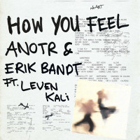 ANOTR & Erik Bandt, Leven Kali - How You Feel