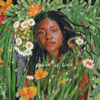 Joy Oladokun, Chris Stapleton - Sweet Symphony