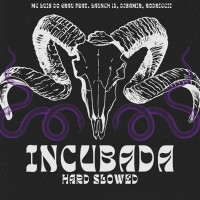 MC LUIS DO GRAU, launch 13, Djsamir , rodriccii - Incubada Hard Slowed