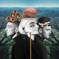 Clean Bandit, Demi Lovato - Solo