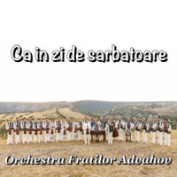 Orchestra Fraților Advahov - Hangul