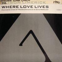 Alison Limerick - Where Love Lives